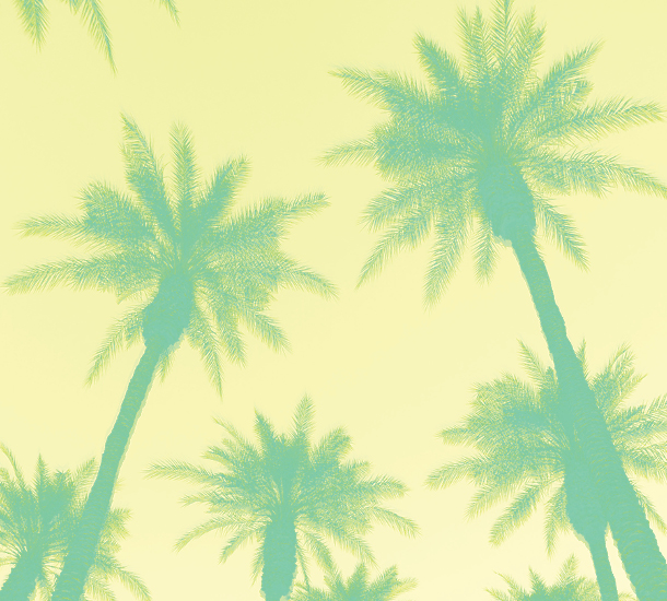Yellow background with green palm trees.
